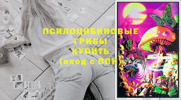 эйфоретик Алзамай