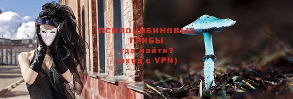 эйфоретик Алзамай